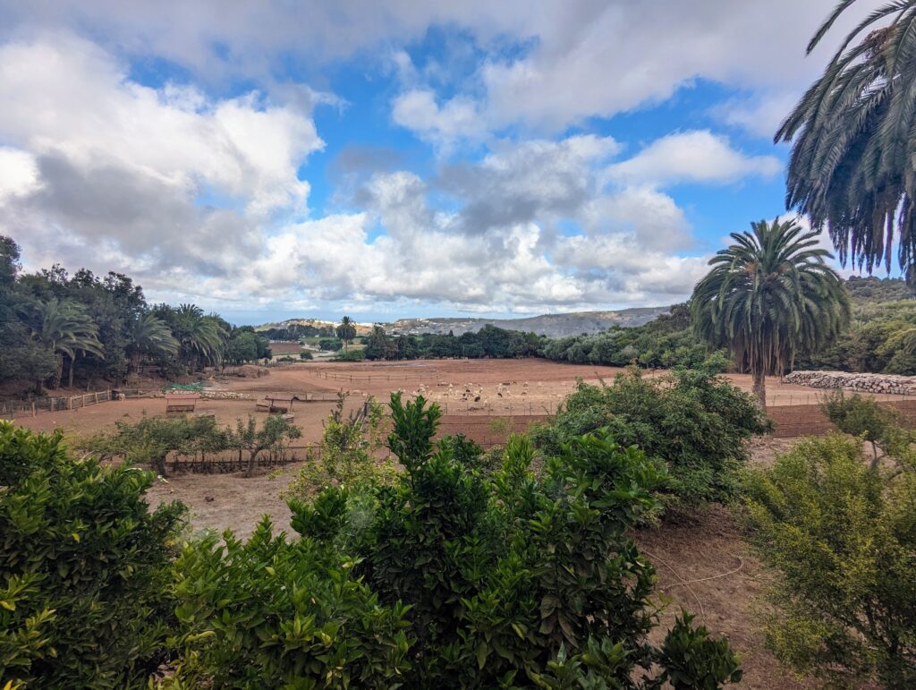 The farmland Finca de Osorio