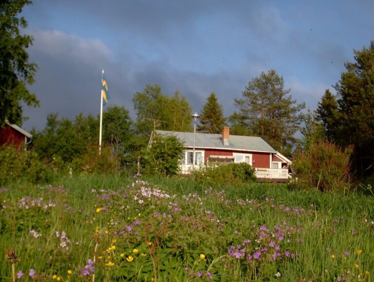 Sommerhouse in Iceland