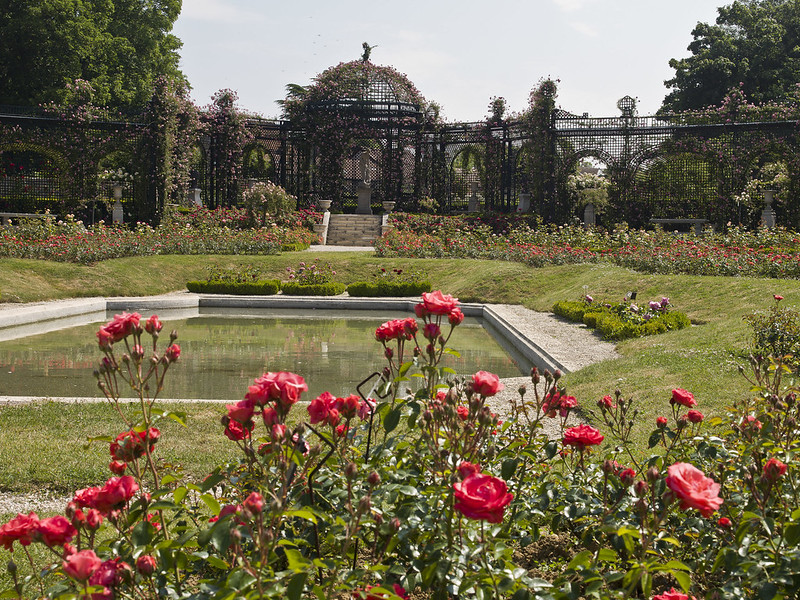 Rose Gardens in France